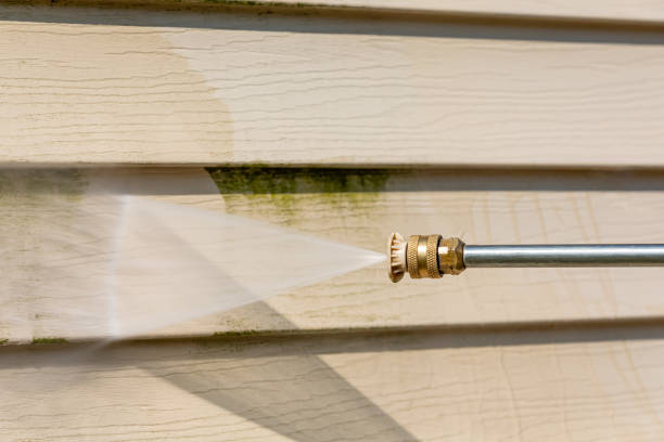 Best Power Washing Near Me  in Lipatria, CA